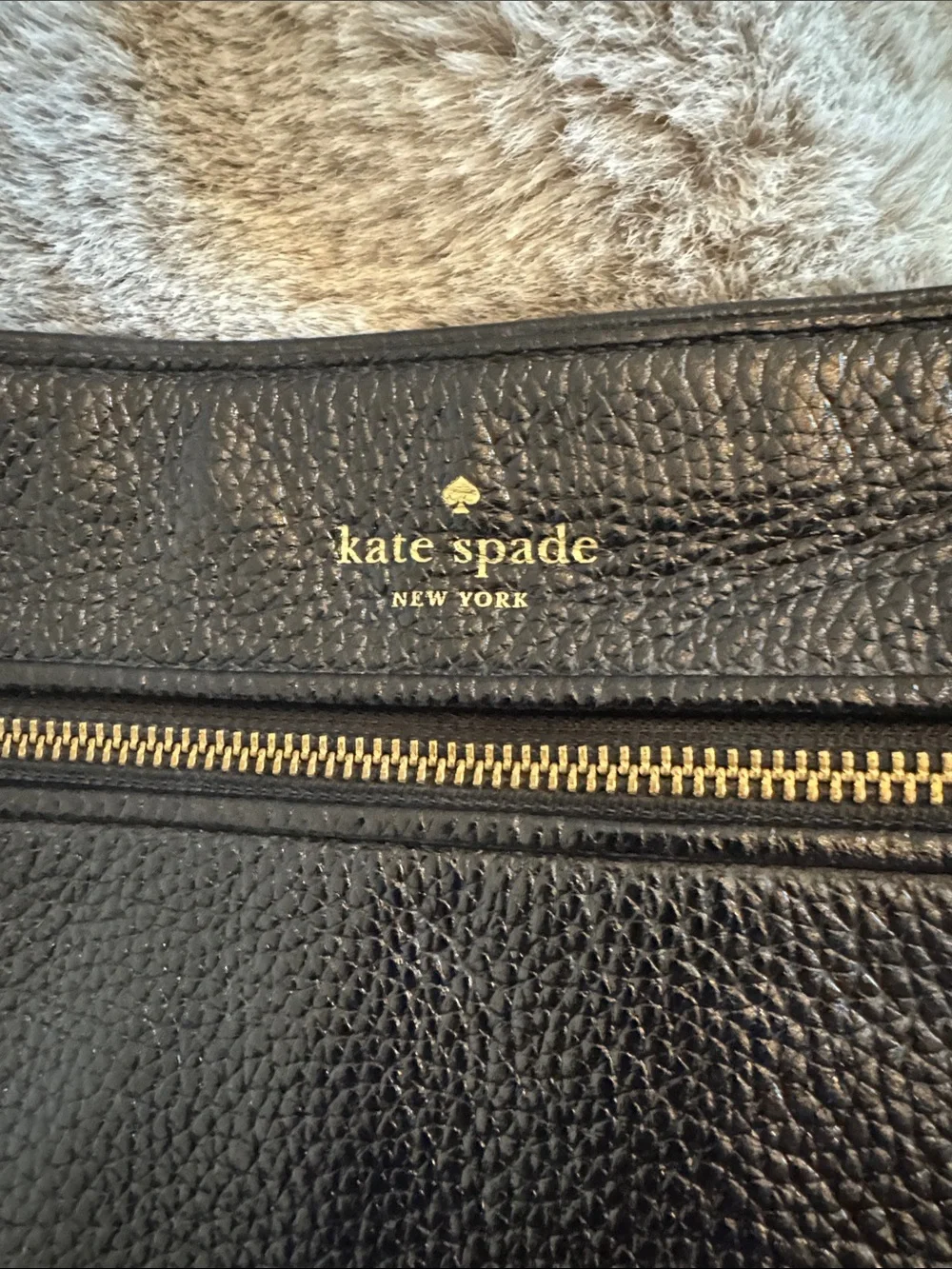 Kate Spade New York, specifically the Chester Street Dessi crossbody model